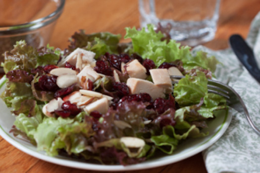 chickenandcranberrysalad310x200pixels